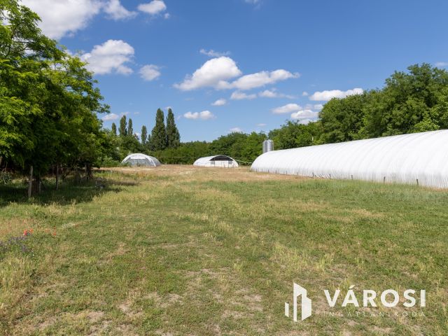 Madártelep minden szükséges felszereléssel
