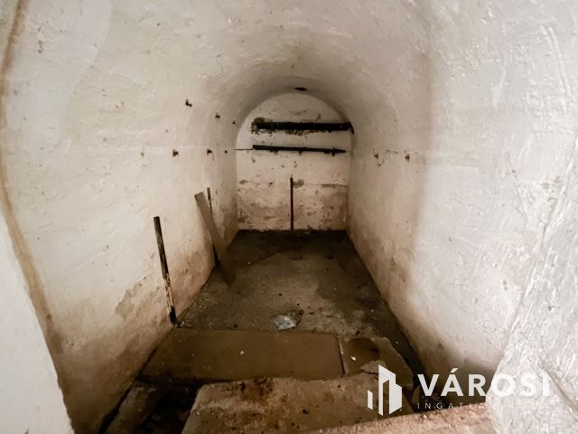 Felújítandó sorház természetközeli helyen!