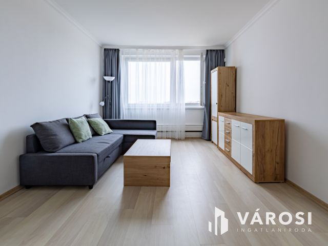 Frissen felújított panellakás kiadó a Víziorgona utcában