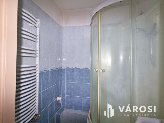 Szegeden a Vértónál, madárcsicsergős panel ajánalat.