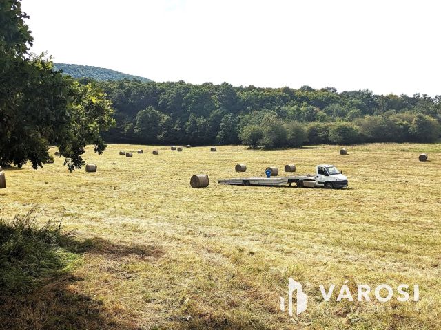 8 Ha 9410m2 Legelő - Kaszáló festői környezetben